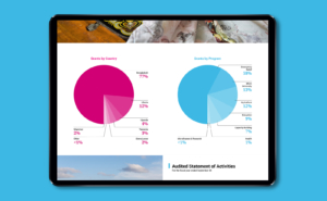 BRAC Annual Report Design