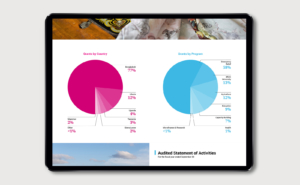 BRAC Annual Report Design financial