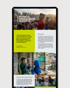BRAC Annual Report website layout design